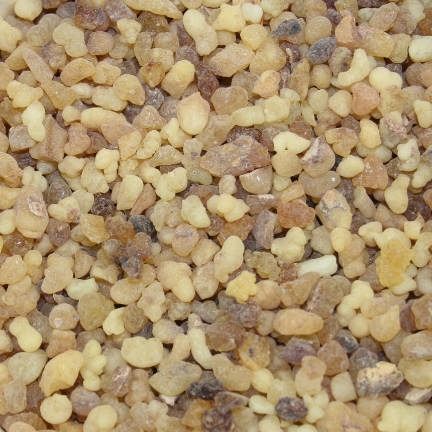 Ethiopian 1st Choice/Frankincense (8 oz.)