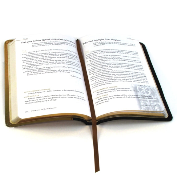 A Year with the Angels (Imitation Leather)