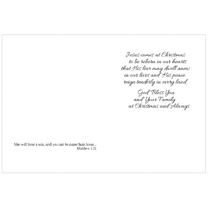 Merry Christmas to You & Your Family (Box of 20) WCA3316