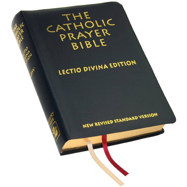 洋書 The Catholic Prayer Bible item3424_860x860_8610cdb2-c91e