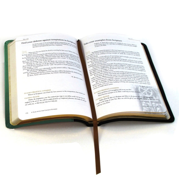 A Year with the Saints (Imitation Leather)